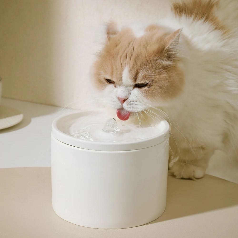 Automatic Pet Water Dispenser